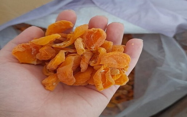 قیمت خرید برگه زردآلو آفتابی با فروش عمده